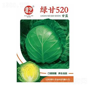 甘藍種子-綠甘520-邯豐農(nóng)業(yè)