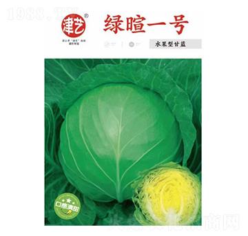 甘藍種子-綠暄一號-邯豐農(nóng)業(yè)