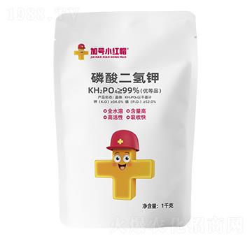 ���w����������-��̖С�tñ