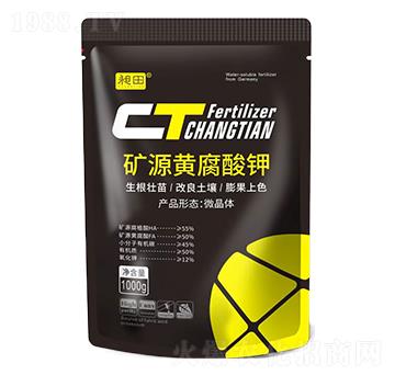 �VԴ�S�����-����-�{(l��n)���r(n��ng)�I(y��)