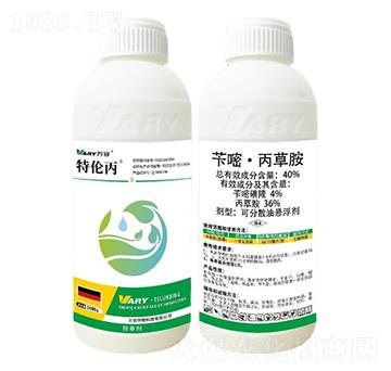 40%�S�ס����ݰ�-�؂���-�f��