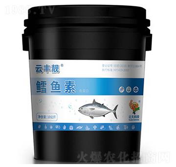 �L�~���~����-���S�n-�ƴ�Ƽ�