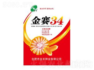 金賽34-合豐種業(yè)
