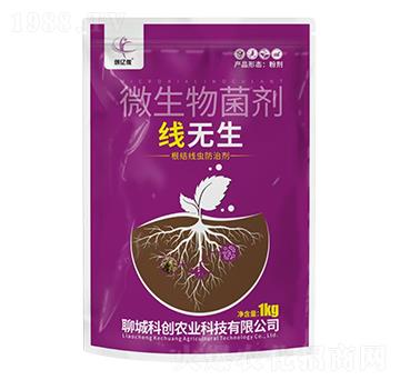 ���o��΢�������-��(chu��ng)�|�z-�ĳǿƄ�(chu��ng)