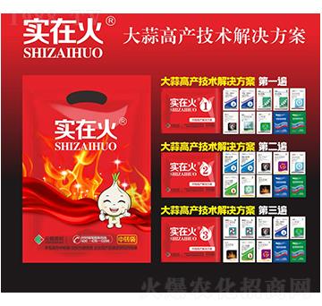 大蒜高產(chǎn)技術(shù)解決方案-實(shí)在火-紅太陽(yáng)