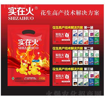 花生高產(chǎn)技術(shù)解決方案-實在火-紅太陽