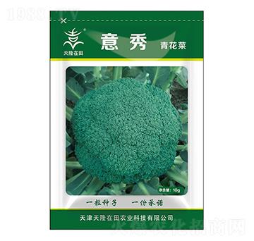 青花菜種子-意秀-天隆農(nóng)業(yè)