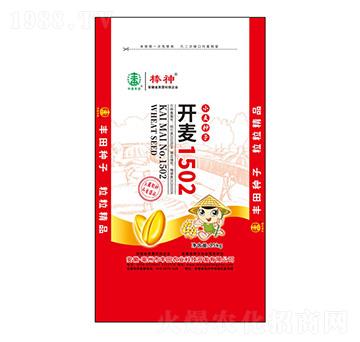 開麥1502小麥種子-棒神-豐田農(nóng)業(yè)