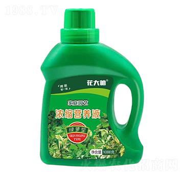 �G�}�ͼ�ͥ�@ˇ��s�I(y��ng)�B(y��ng)Һ-����-�G�ַʘI(y��)