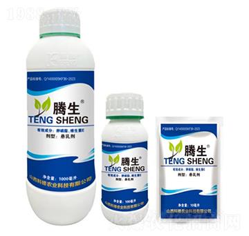 ����֬���S����E-�v��-�õ���