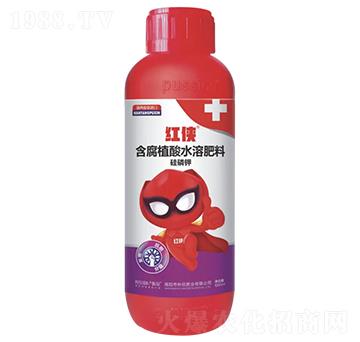 �t�b-�������a(ch��n)��-�����ʘI(y��)