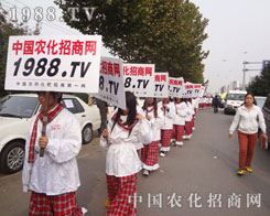 �r(n��ng)�����̾W(w��ng)2012��(j��)��ֲ���p���������c