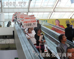 �r(n��ng)���W(w��ng)��(zh��n)ʿ�����p�����|����ƴ��һƬ�x�͵����