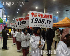 1988.TV������(zh��n)���������o��ֹ