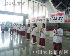 �r(n��ng)�����̾W(w��ng)���(sh��)�ֺ���(du��)���@�ø����L(f��ng)��