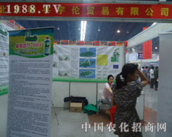 ��ƽ��ذ�����2012����ֲ����