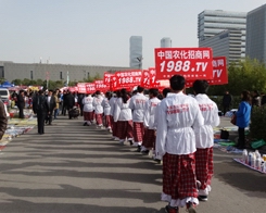 29��ֲ�����ו��r(n��ng)�����̾W(w��ng)�ĈF(tu��n)꠶�M��