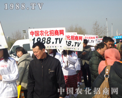 �ʝɵ�8���r(n��ng)�Y���ו�׌�r(n��ng)���W(w��ng)�������_�A��