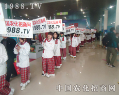 �҂�1988.TVһֱ����ֻҪ�����͕����ի@