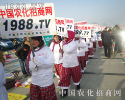 2013�ʝ��r�����M�@1988.TV�n���L��