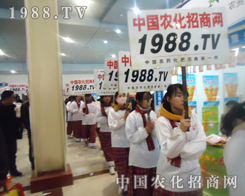 2013�ʝ��r(n��ng)����(hu��)�ϵ��r(n��ng)���W(w��ng)��(zh��n)ʿ��