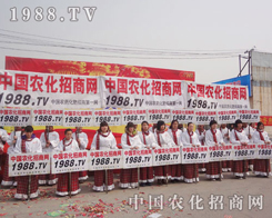 1988.TV��2013���f�r�Yӆ؛���������@ϲ