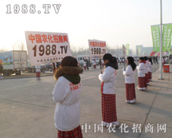 �r(n��ng)���W(w��ng)�����·f��(chu��ng)�������͏���Č���