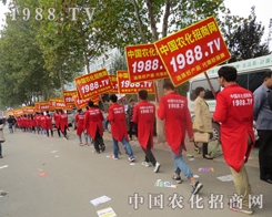 ɽ�|ֲ�������ഺ���҂���(zh��n)����������