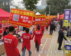 �r(n��ng)�����̾W(w��ng)ף2015��(j��)��ֲ���p�����A�M�ɹ�