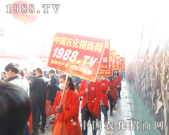 1988.TV��2015�����I�N����������������ֱǰ