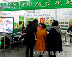 �|ꖿ�����2015�����I�N�ӕ��ς�����A��