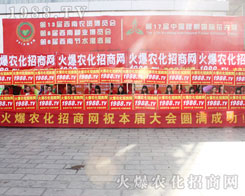 2016���r�Y���[�����r���Wȫ���Ը���