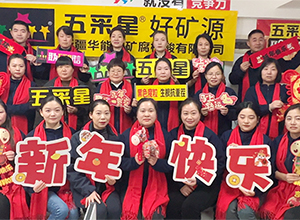 【華能中礦】祝全國(guó)人民財(cái)運(yùn)亨通，事業(yè)紅火！