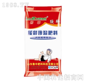 ����-��ጓ������