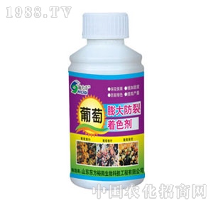 ��ԣ����-������������ɫ��