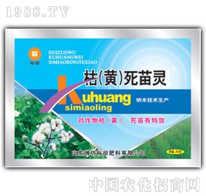 ��ԣ����-���S�����`