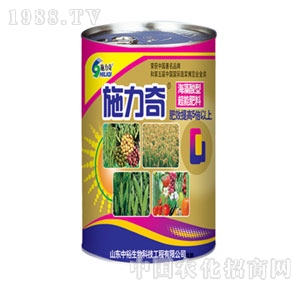 ��ԣ����-ʩ����