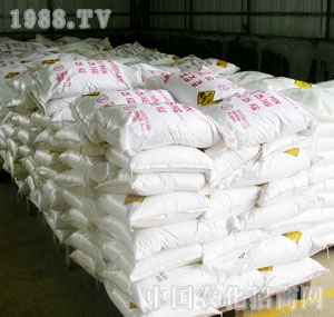 ɽ������-�����@