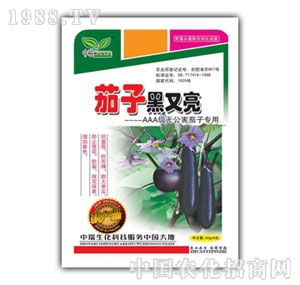 ��ԣ-���Ӻ�����