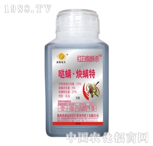 �f���޻�-�t��֩�뚢