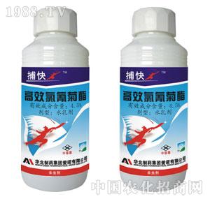 ���Z-4.5%�������ˮ�鄩