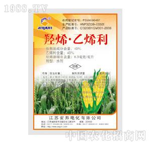 ����-�uϩ��ϩ��