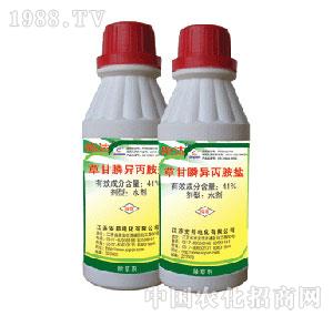 ����-41%�ݸ��