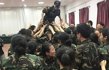 單槍匹馬難跨越，百人抱團筑長城！